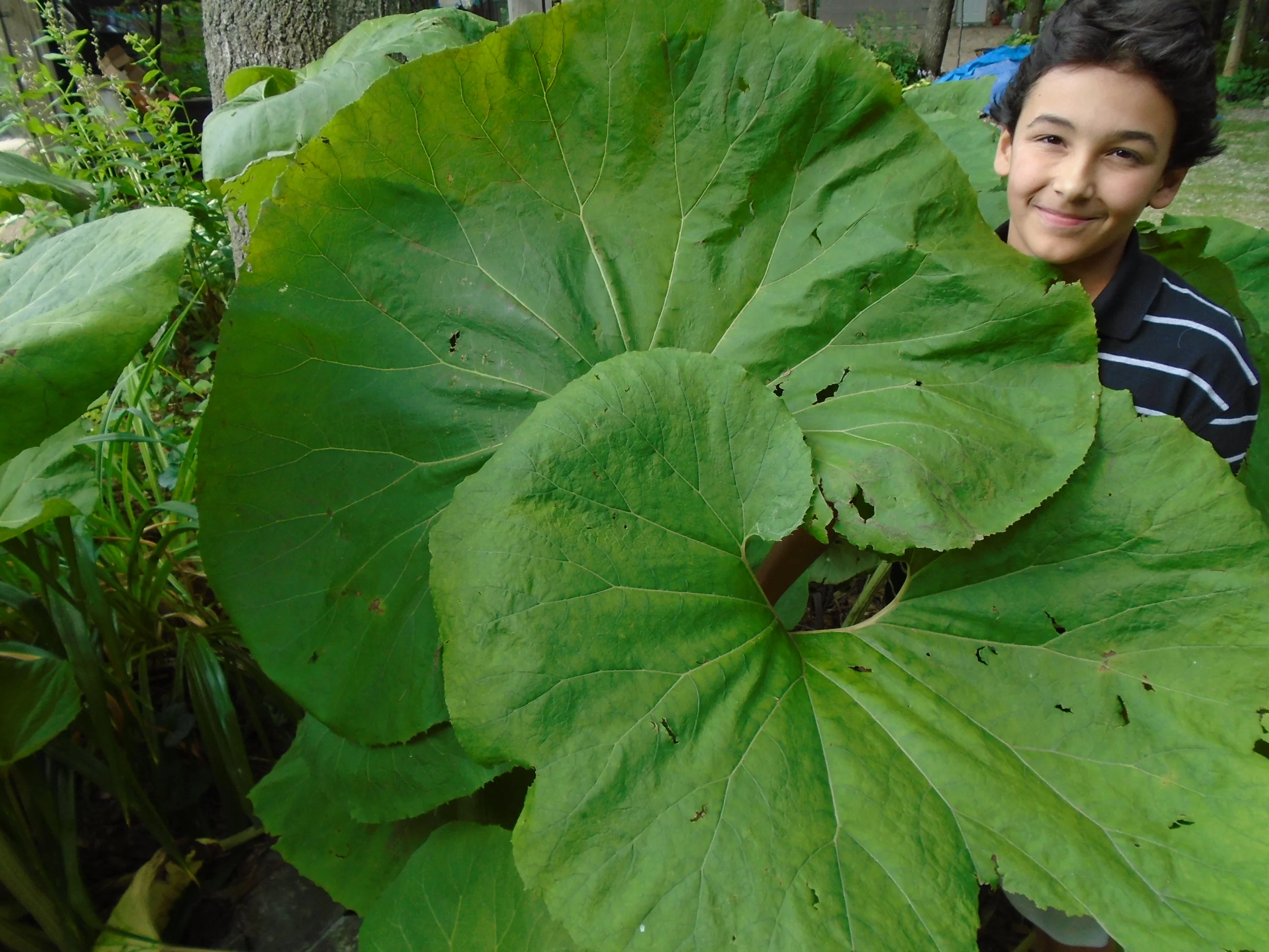 Thumbnail 1